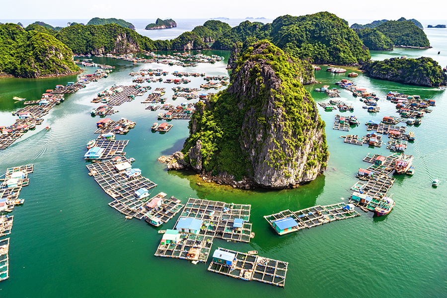 Fishing-Village-with-Man-Nguyen-Private-Vietnam-Tour-Packages