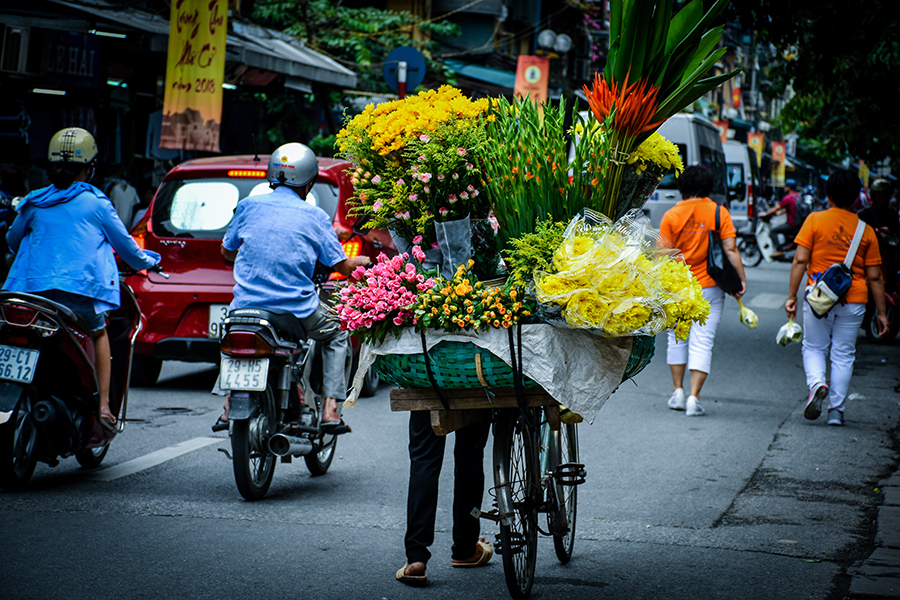 Vietnam florist vendor in Ha Noi City with Man Nguyen Private Vietnam Tour Packages