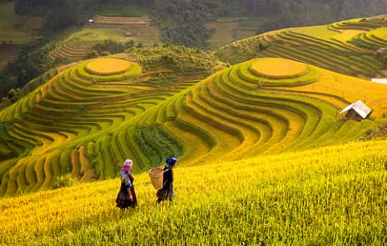 Sapa with ManNguyen From PrivateVietnamTourPackagess